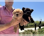 Small #4 Breeder Profile image