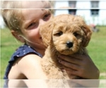 Small #12 Breeder Profile image
