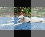Small #3 Breeder Profile image