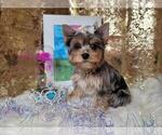 Small #19 Breeder Profile image