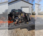Small breeder photo