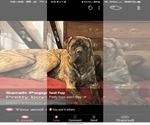 Small #8 Breeder Profile image