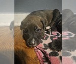 Small #7 Breeder Profile image