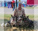 Small #16 Breeder Profile image
