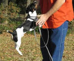 Small #25 Breeder Profile image
