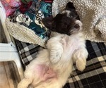 Small #7 Breeder Profile image