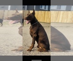 Small #6 Breeder Profile image