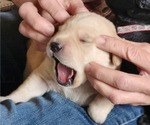 Small #12 Breeder Profile image