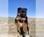 Small #124 Breeder Profile image