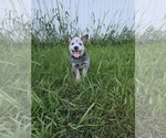 Small #15 Breeder Profile image