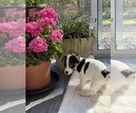 Small #2 Breeder Profile image