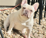 Small #8 Breeder Profile image