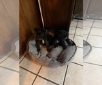Small #6 Breeder Profile image