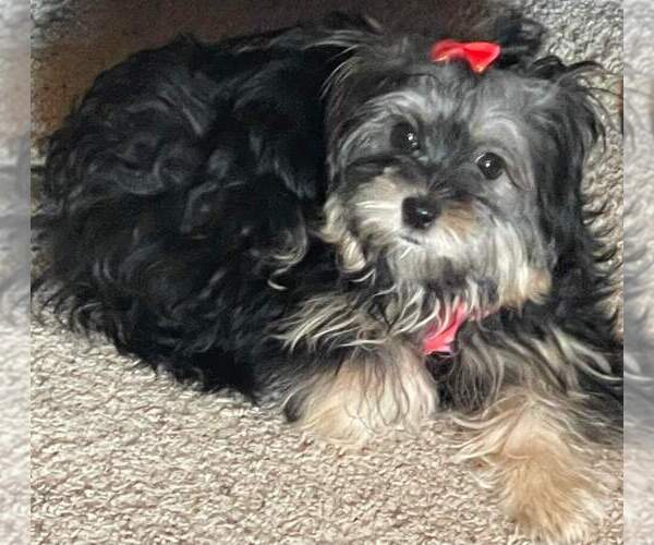 Medium Photo #1  Breeder Profile in WATERLOO, IA, USA