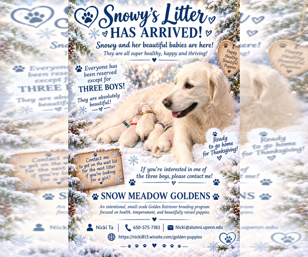 Medium Photo #1  Breeder Profile in PITTSFIELD, MA, USA