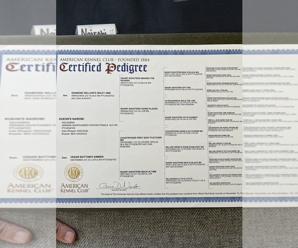 Medium Photo #7  Breeder Profile in WABASSO, MN, USA