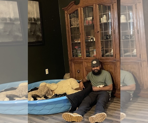 Medium Photo #1  Breeder Profile in ANDOVER, SD, USA