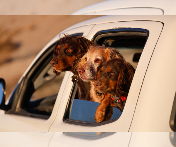 Medium Photo #1  Breeder Profile in HATCH, NM, USA