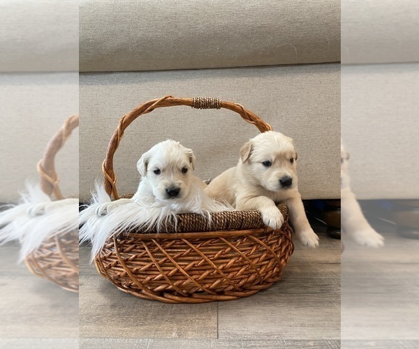 Medium Photo #1  Breeder Profile in STANFIELD, NC, USA