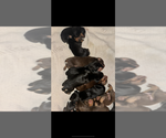 Small #25 Breeder Profile image