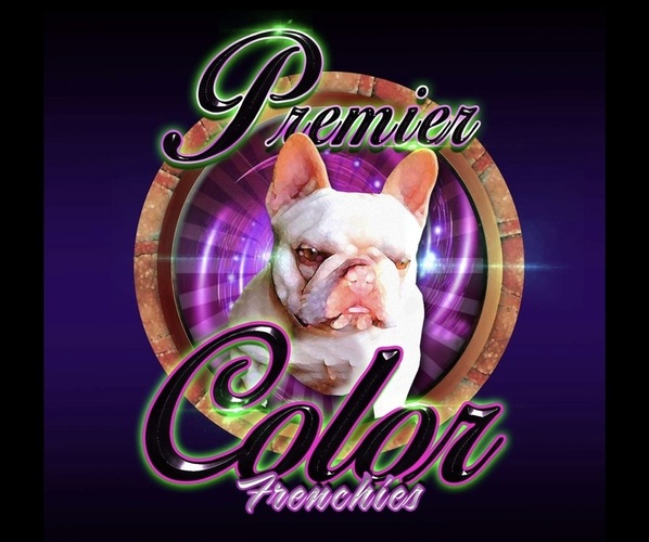 Medium Photo #1  Breeder Profile in MYRTLE BEACH, SC, USA