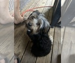 Small #3 Breeder Profile image