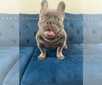 Small #21 Breeder Profile image