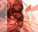 Small #5 Breeder Profile image