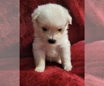 Small #76 Breeder Profile image