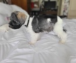 Small #9 Breeder Profile image