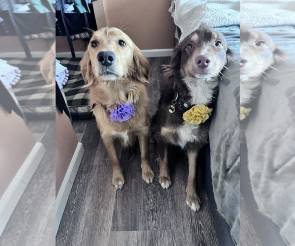 Medium Photo #1  Breeder Profile in HARRISON, OH, USA