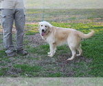 Small #2 Breeder Profile image