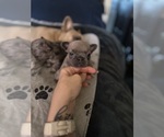 Small #16 Breeder Profile image