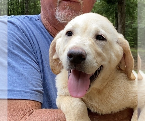 Medium Photo #1  Breeder Profile in BARNESVILLE, GA, USA