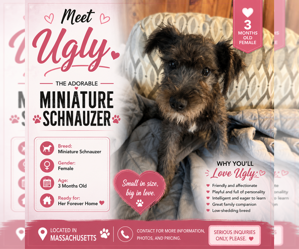 Medium Photo #4  Breeder Profile in PROVINCETOWN, MA, USA