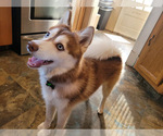 Small #55 Breeder Profile image