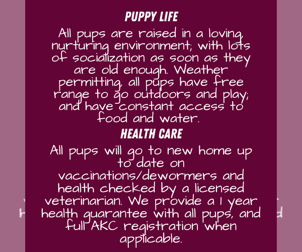 Medium Photo #6  Breeder Profile in GOSHEN, IN, USA