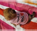 Small #43 Breeder Profile image