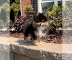Small #22 Breeder Profile image