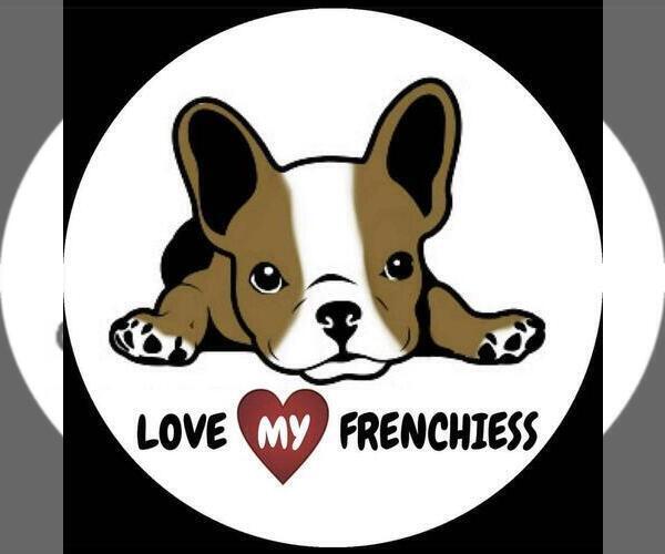 Medium Photo #1  Breeder Profile in MIAMI, FL, USA