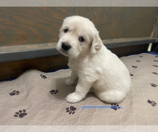 Medium Photo #18  Breeder Profile in WEATHERFORD, TX, USA