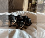 Small #7 Breeder Profile image