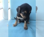 Small #7 Breeder Profile image
