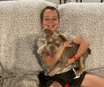 Small #2 Breeder Profile image