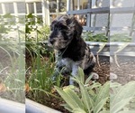 Small #5 Breeder Profile image