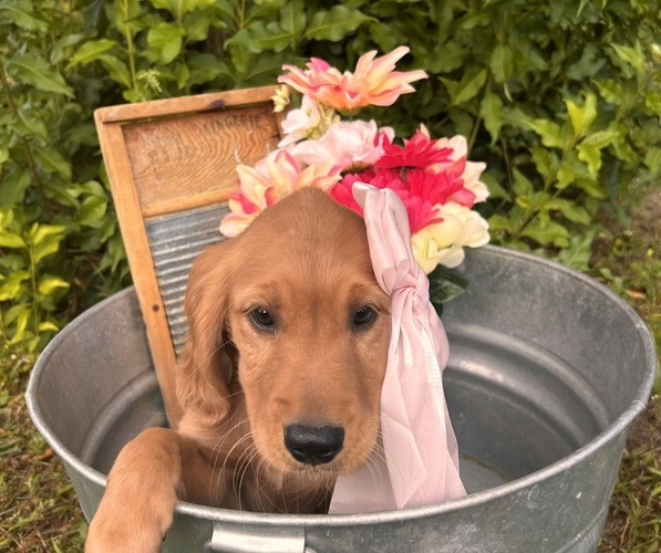 Medium Photo #7  Breeder Profile in BLACK RIVER FALLS, WI, USA