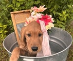 Small #6 Breeder Profile image