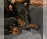 Small #24 Breeder Profile image