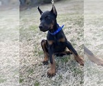 Small #4 Breeder Profile image