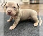 Small Photo #15  Breeder Profile in HOWE, TX, USA